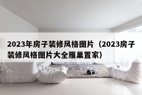 2023年房子装修风格图片（2023房子装修风格图片大全雁巢置家）