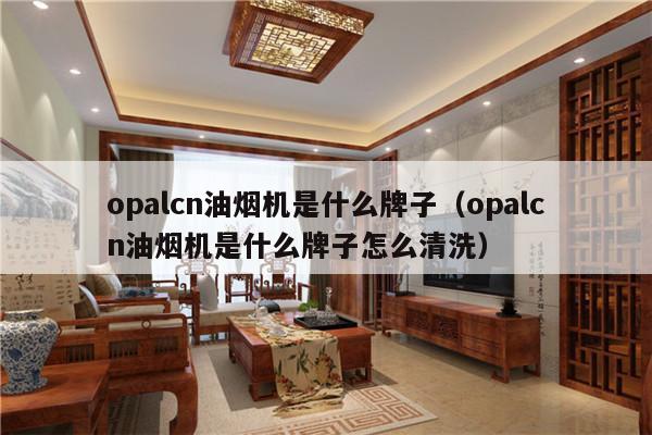 opalcn油烟机是什么牌子（opalcn油烟机是什么牌子怎么清洗）